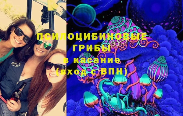 спиды Магас