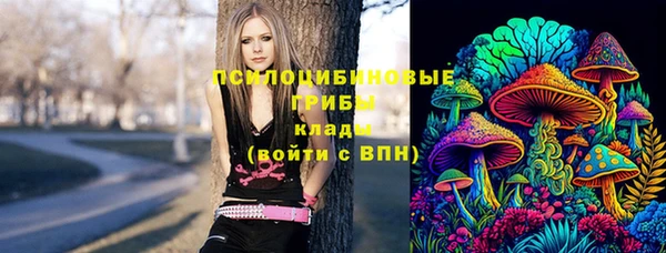 ешки Майский