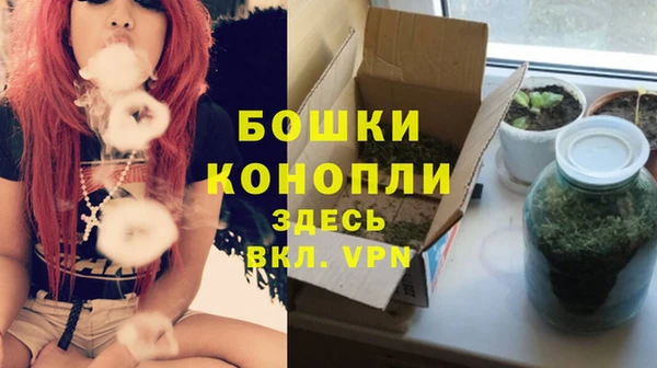 спиды Магас