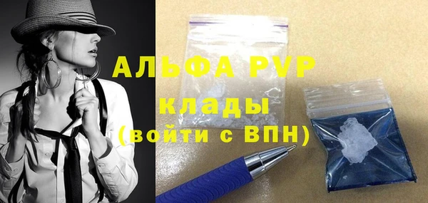 спиды Магас