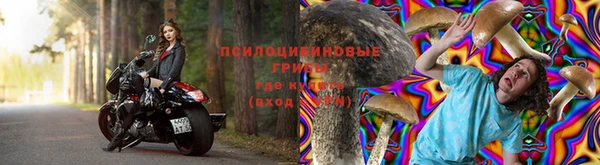 спиды Магас